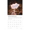 Plato; By the Sea | 2027 12 x 24 Inch (Hanging) Monthly Square Wall Calendar | Foil Stamped Cover; Category:Wall Calendars; Image:5